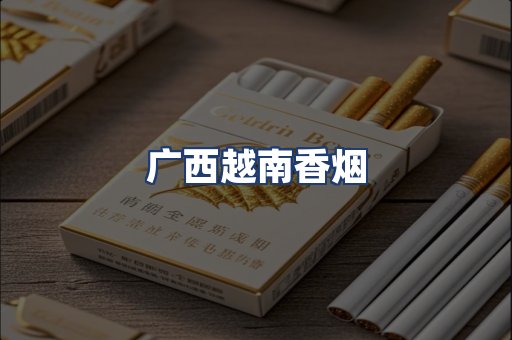 广西越南香烟
